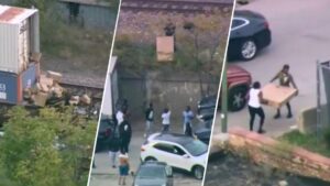 Mob of up to 30 looters, some armed, ransack freight train in Chicago