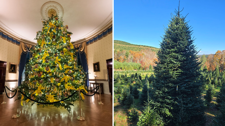 White House selects North Carolina family's Christmas tree farm to provide 2024 tree