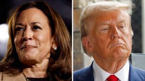 Harris, Trump conclude campaigning – now it's up to the voters as Election Day 2024 gets underway