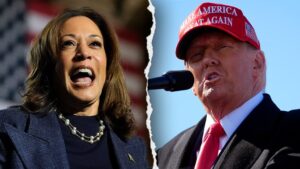 Harris' late surge in betting odds fueled by outlier poll, but Trump still 'slightly favored'