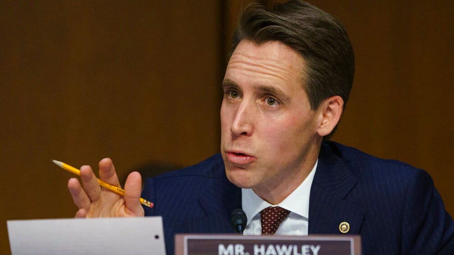 Hawley says Mayorkas, Wray 'absolutely' skipped Senate hearing due to Laken Riley verdict, calls for subpoenas