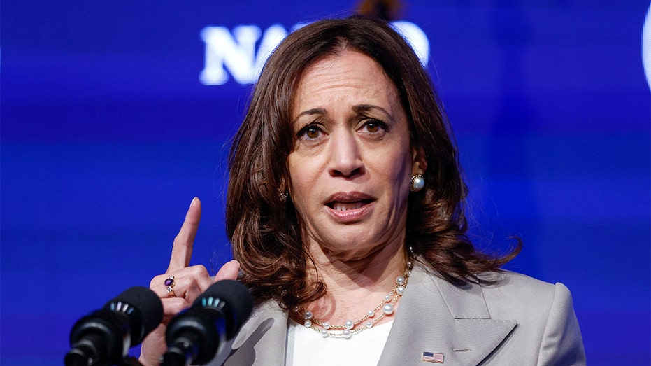 Harris campaign chair fumes about narrative she was afraid to do interviews: 'Completely bulls--t'