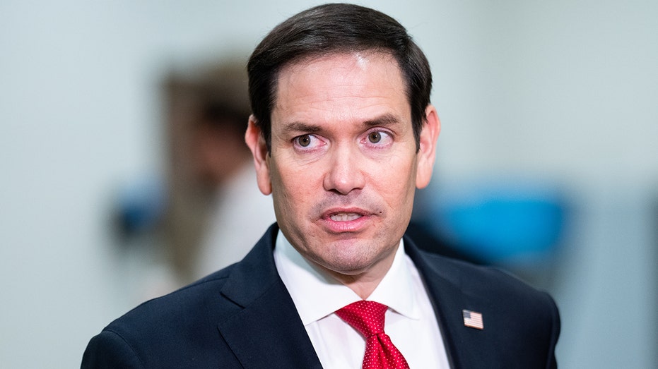 Who could DeSantis pick to replace Rubio in Senate? GOP floats several options, including a Trump