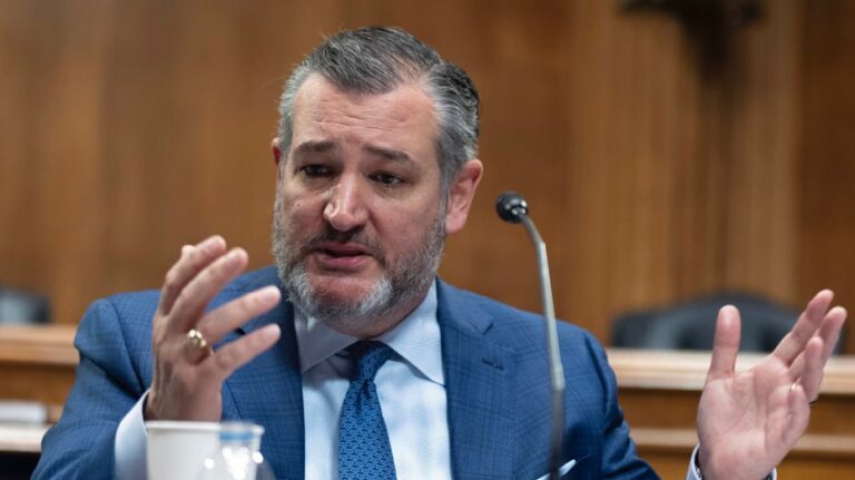 Ted Cruz urges White House to halt $1.25B in 'digital equity' funds