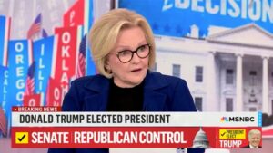 No Trump bump: MSNBC hemorrhaging viewers since Election Day, sheds more than half of primetime audience