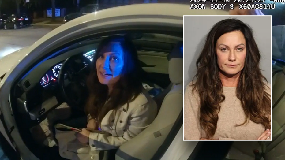 Democratic official drunkenly slurs, flaunts government position during DUI arrest: video