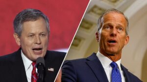 Trump privately backed John Thune in tight leader race, Sen Steve Daines suggested