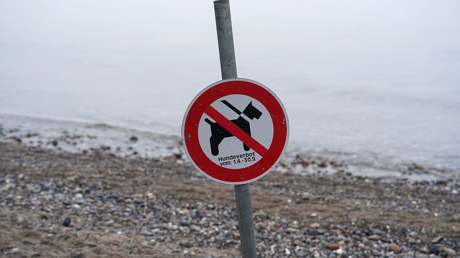 Welsh government advised to create dog-free zones to combat racism