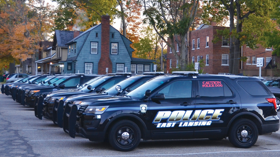 Human remains found inside freezer of Michigan townhome: 'Smell of death'