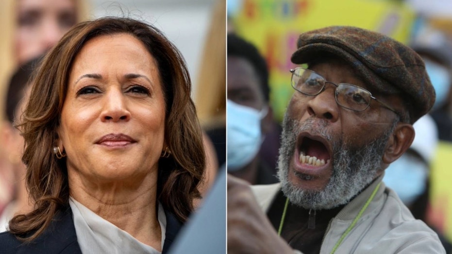 VP Harris' radical mentor could be key player in reparations push if she becomes president