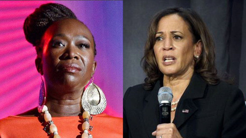 Joy Reid says Black women no longer interested in 'saving America' after betrayal by White female voters