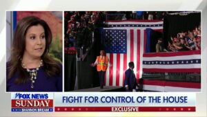 Rep. Elise Stefanik predicts 'sweeping Republican victory' on Election Day