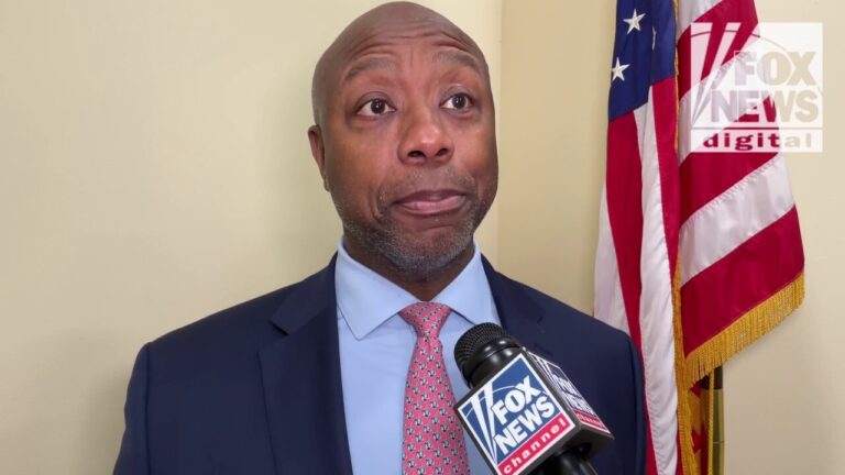 New Senate GOP campaign chair Tim Scott's 2026 goal: 'expand the map'