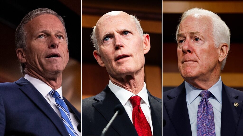 Senators John Thune, Rick Scott and John Cornyn seek majority leader position