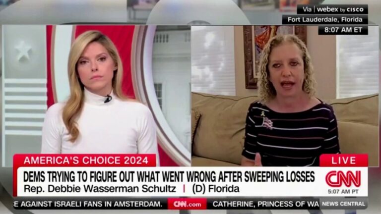 Former DNC chair Wasserman Schultz claims it wasn't a 'wave' election for GOP