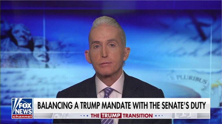 Trey Gowdy says Trump won a 'mandate' to 'reform and disrupt'