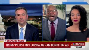 Professor on MSNBC warns ‘we should all fear’ new attorney general pick Pam Bondi ‘because she’s competent’