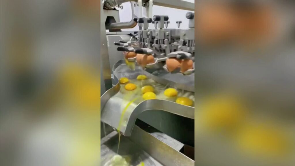 Egg-cracking process in factory captured on video