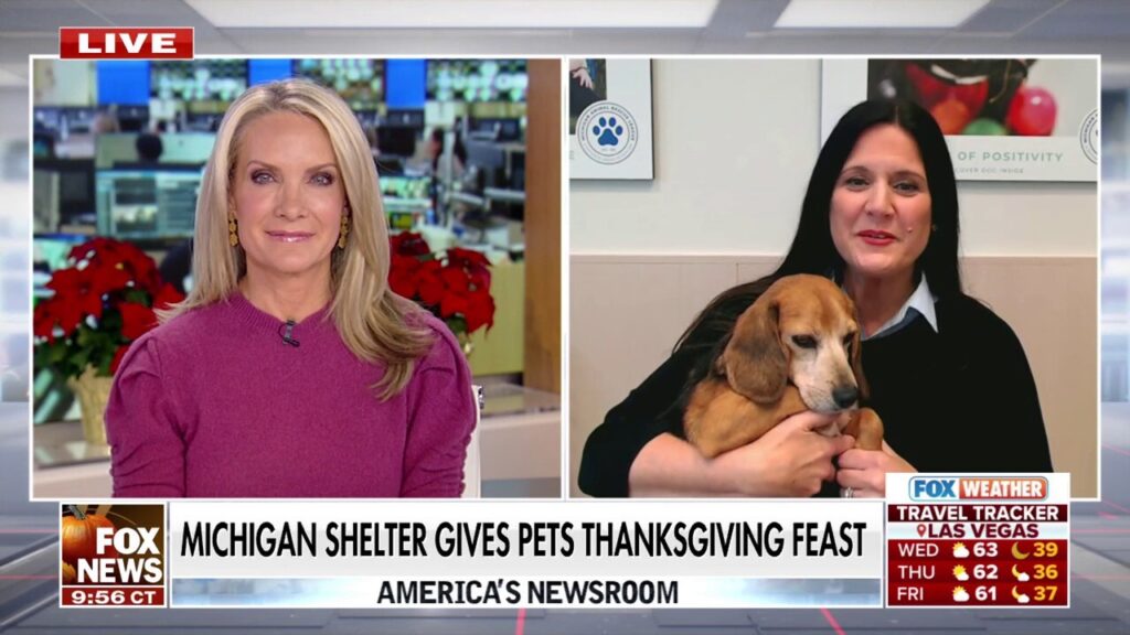 Michigan shelter gives pets a special Thanksgiving Day feast