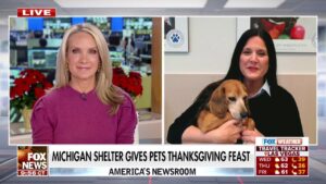 Michigan shelter gives pets a special Thanksgiving Day feast