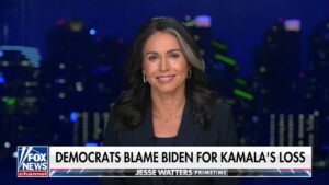 Democrats 'care so little for our democracy,' says Tulsi Gabbard