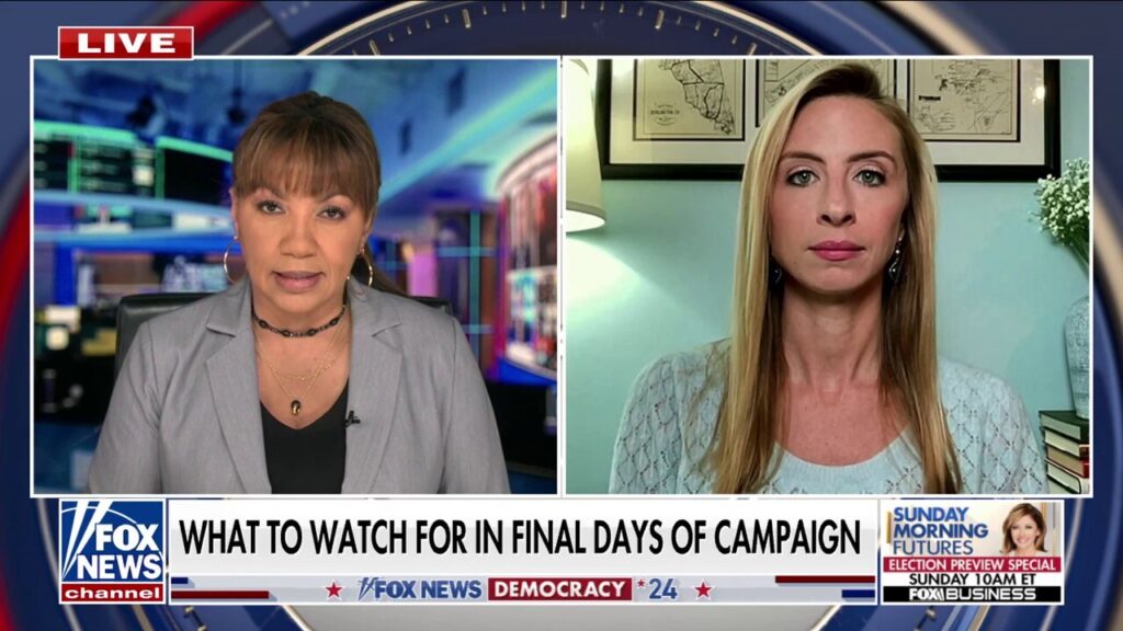 Pollster sounds off about ‘vote shaming’: It’s not a ‘productive use of our time’