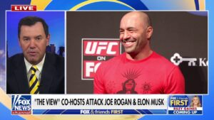 Joe Concha slams 'The View' over Rogan criticism: 'This is what panic sounds like'