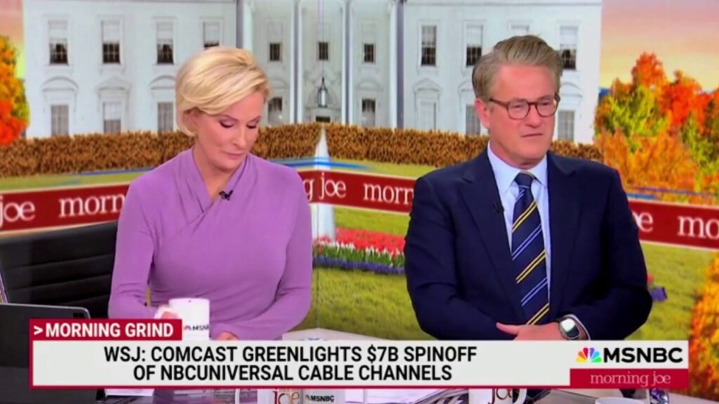 'Morning Joe' co-hosts awkwardly joke about show's fate