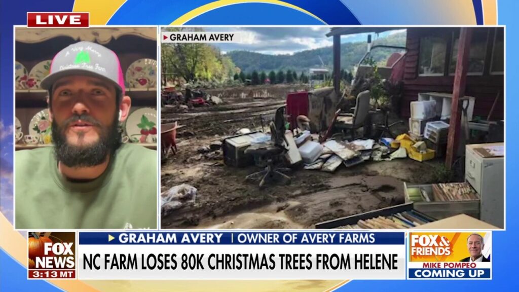 NC Christmas tree farm endures millions in damages from Hurricane Helene: 'Total devastation'