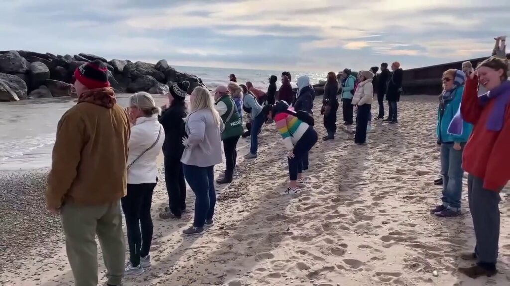 Wisconsin women unleash primal screams in protest of Trump win: video