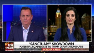 Trump admin will ‘take the shackles off’ border officials, attorney says