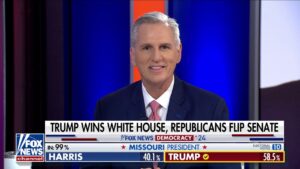 Kevin McCarthy says Trump’s victory, Republicans flipping Senate 'came down to the issues