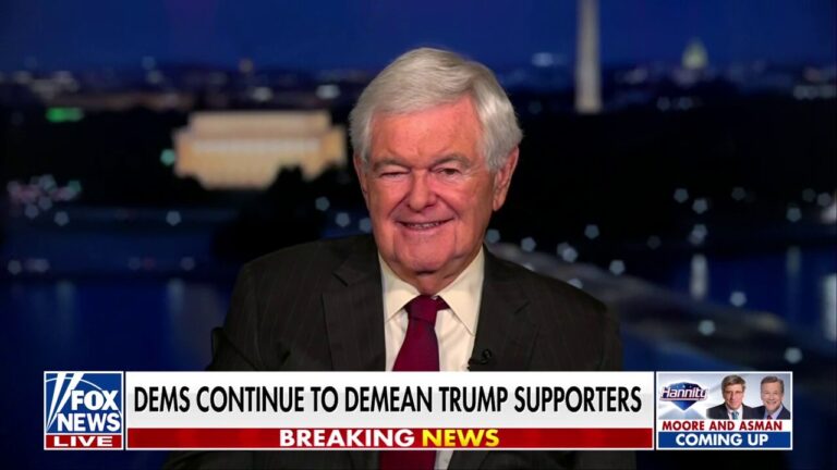 Newt Gingrich compares 'hysterical' Democrats' position to 'Custer's Last Stand'