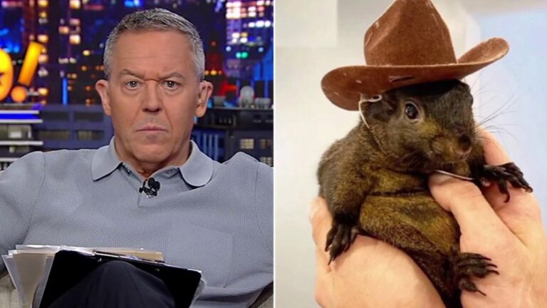 New York state officials antagonized a terrified squirrel, says Greg Gutfeld