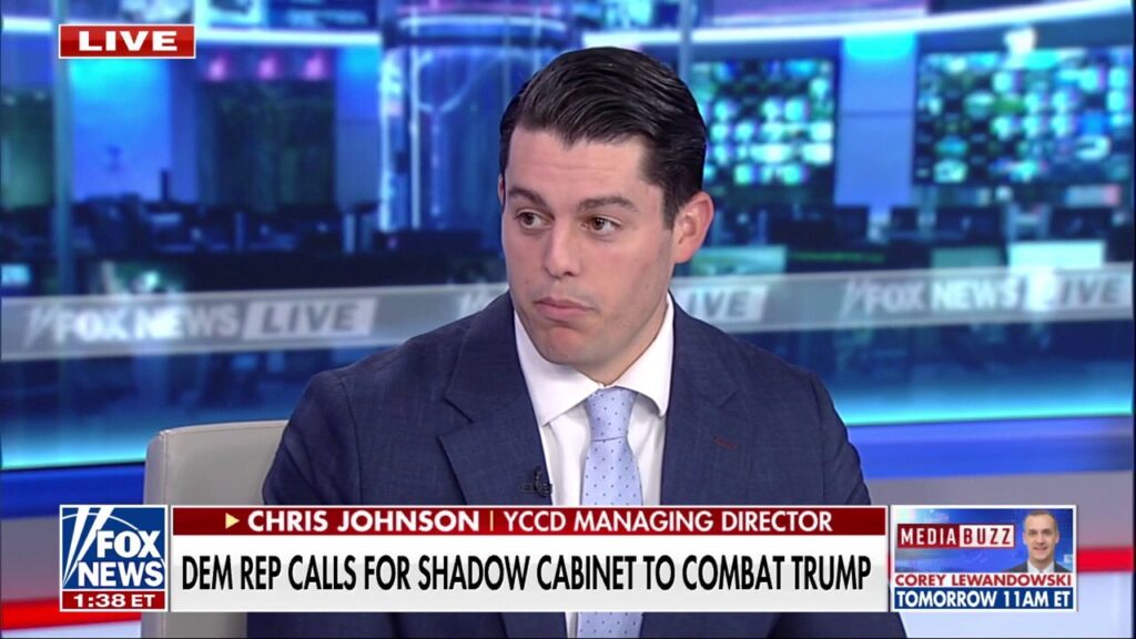 'Obviously Bizarre': Republican strategist reacts to Dem lawmaker's call for shadow cabinet