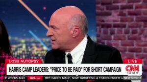 Kevin O'Leary details why Kamala Harris lost in scathing on-air critique