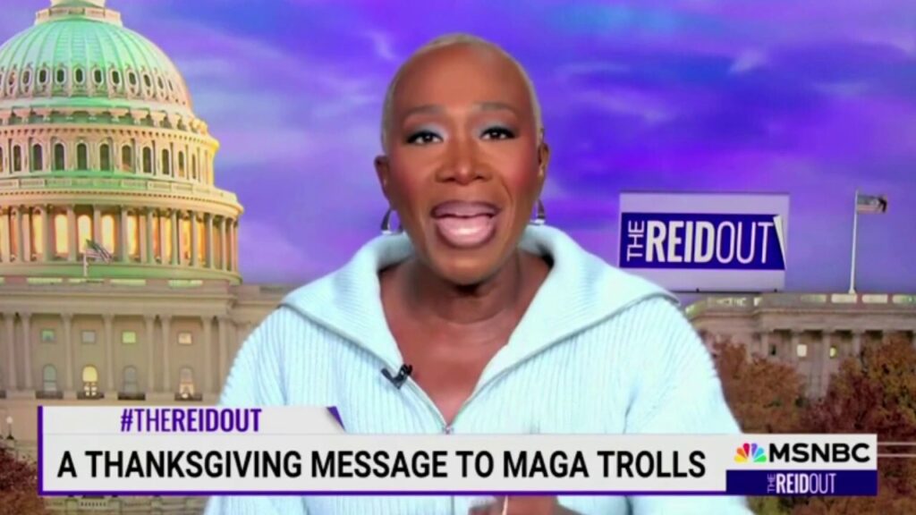 MSNBC's Joy Reid sends message to Republicans on Thanksgiving: 'Make your own dinner, MAGA'