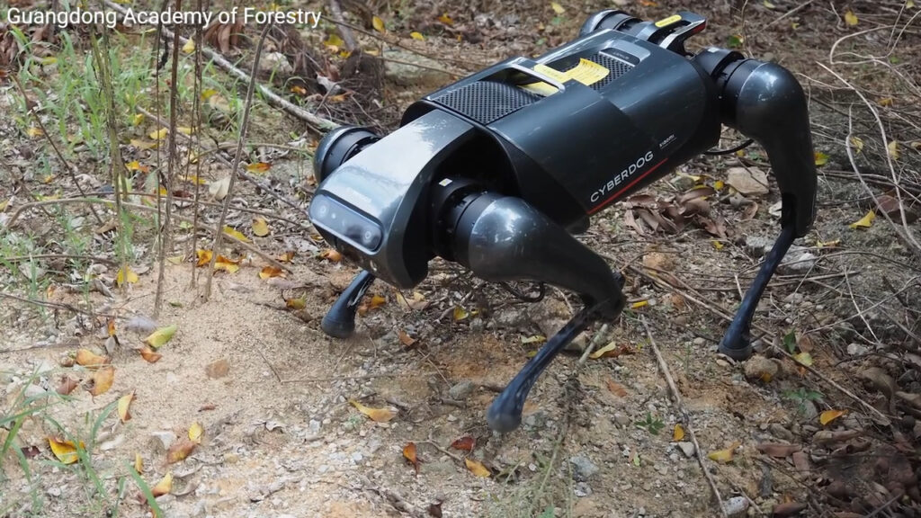 AI-powered dog robot sniffs out invasive fire ants