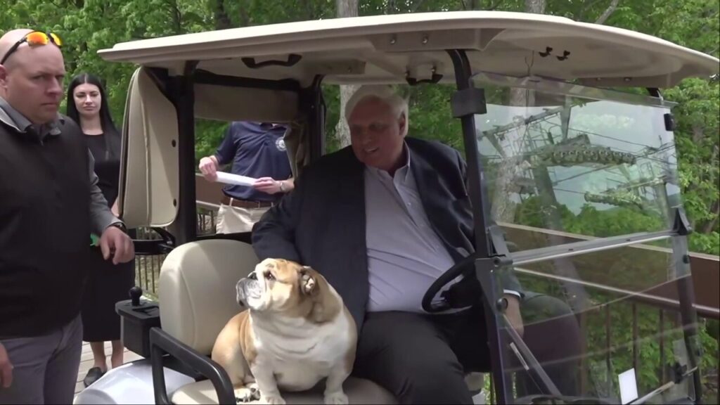 Jim Justice chauffeurs famous pooch Babydog in golf cart