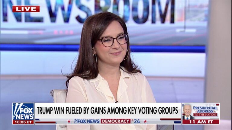 Democrats, media casting blame for Harris' election loss