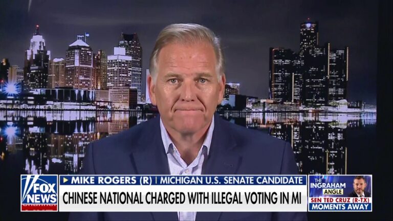 'Every stolen vote is a nick in a citizen's vote,' says Michigan US Senate candidate