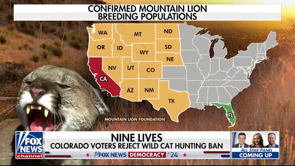 A look at some lesser-known ballot measures nationwide