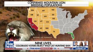 A look at some lesser-known ballot measures nationwide