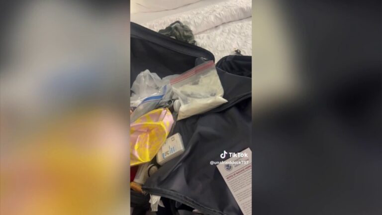 Woman leaves suspicious-looking powder unmarked in her luggage, gets flagged by TSA