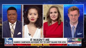 Lindy Li says Democrats have to be ‘accountable’ for the spending on Kamala Harris’ campaign