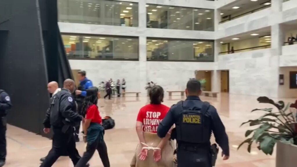 Anti-Israel protesters arrested in Senate office building