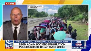 Biden-Harris admin has 'told the world' they 'don't really care' about immigration law: Ex-chief Ronald Vitiello