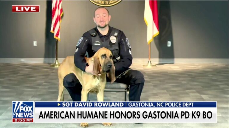 North Carolina K9 wins American Humane Hero Award