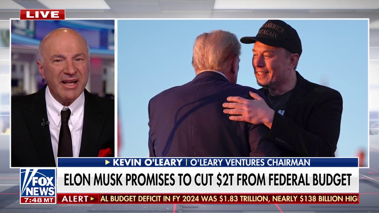 Kevin O'Leary touts Musk, Ramaswamy's effort to cut federal spending: 'Release the hounds'