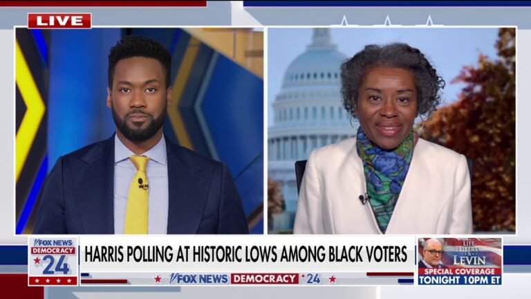 VA official says Dems abandon black voters: After election day, ‘we never see you again’